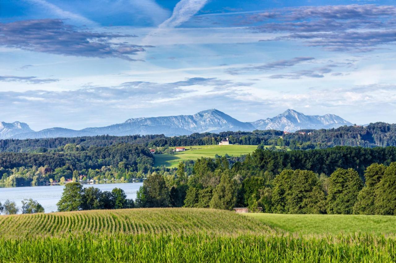 Landhaus Tanner Waging am See Eksteriør billede